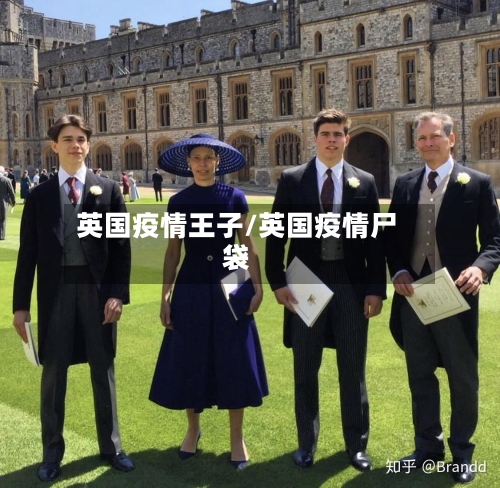 英国疫情王子/英国疫情尸袋