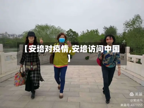 【安培对疫情,安培访问中国】