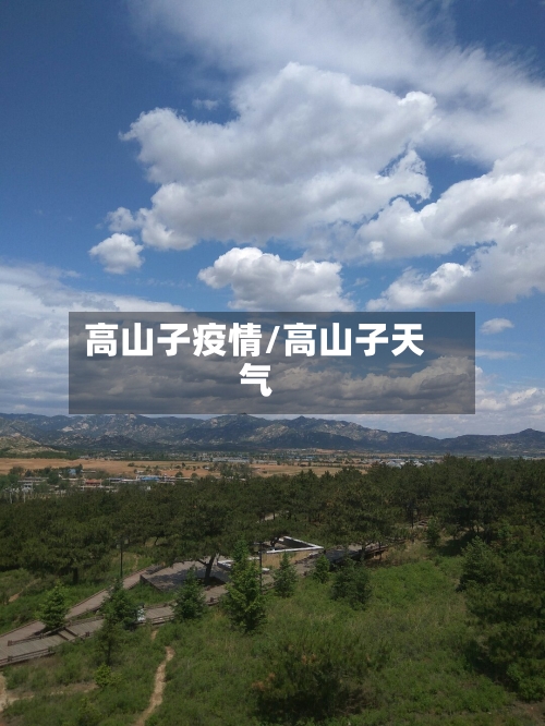 高山子疫情/高山子天气