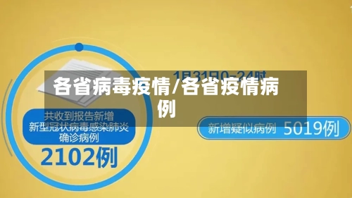 各省病毒疫情/各省疫情病例