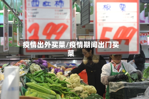 疫情出外买菜/疫情期间出门买菜