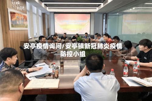 安亭疫情询问/安亭镇新冠肺炎疫情防控小组