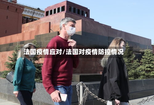 法国疫情应对/法国对疫情防控情况