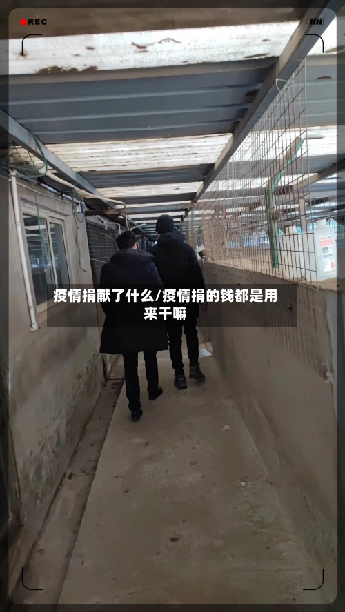 疫情捐献了什么/疫情捐的钱都是用来干嘛