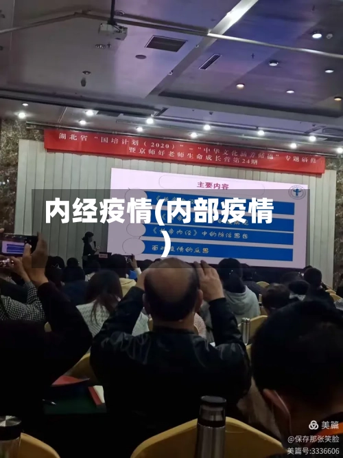 内经疫情(内部疫情)