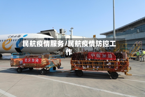 民航疫情服务/民航疫情防控工作
