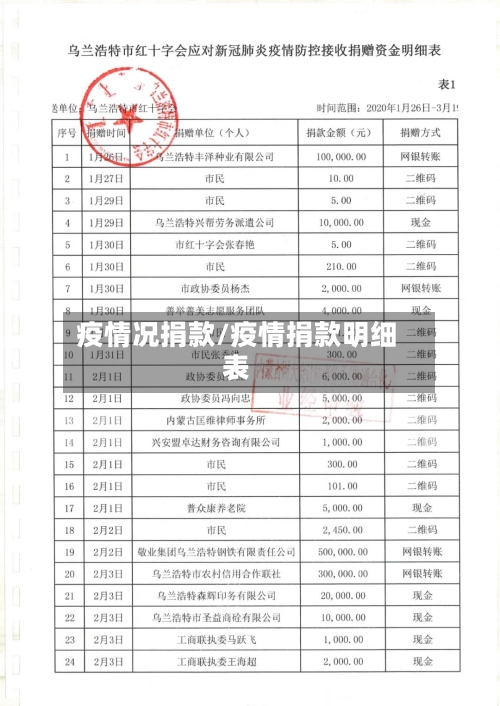 疫情况捐款/疫情捐款明细表