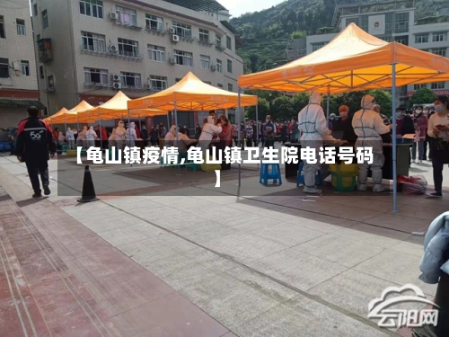 【龟山镇疫情,龟山镇卫生院电话号码】