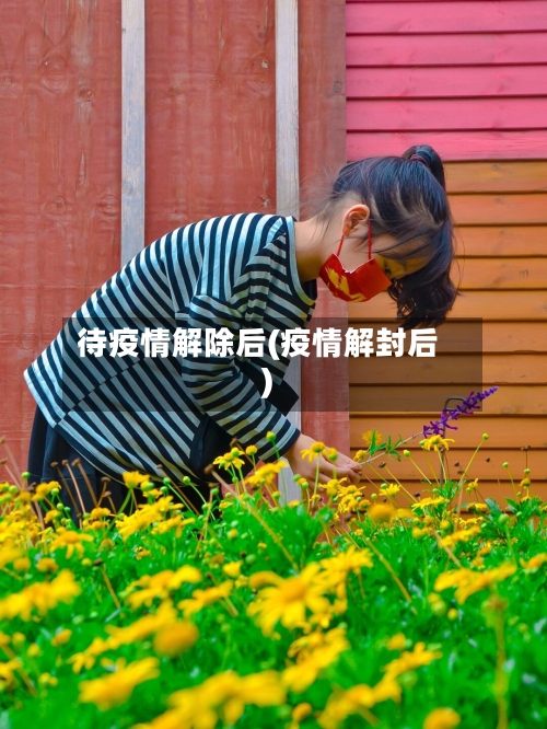 待疫情解除后(疫情解封后)