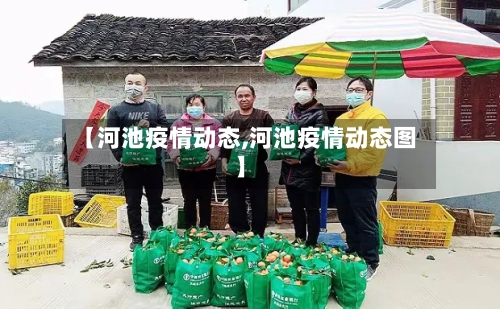 【河池疫情动态,河池疫情动态图】