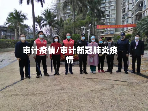 审计疫情/审计新冠肺炎疫情