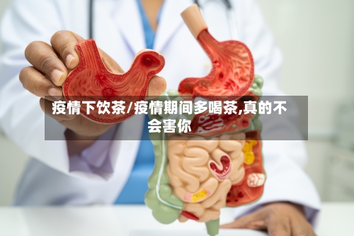 疫情下饮茶/疫情期间多喝茶,真的不会害你