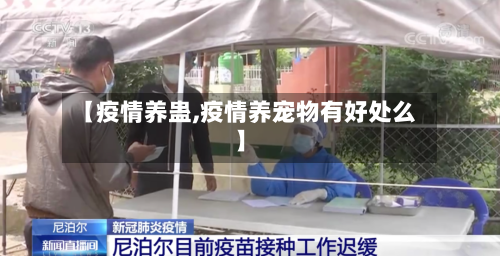 【疫情养蛊,疫情养宠物有好处么】