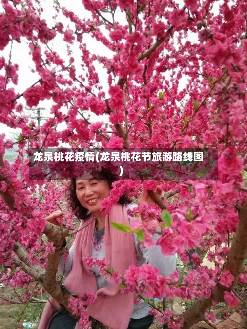 龙泉桃花疫情(龙泉桃花节旅游路线图)