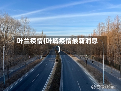 叶兰疫情(叶城疫情最新消息)
