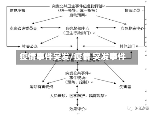 疫情事件突发/疫情 突发事件