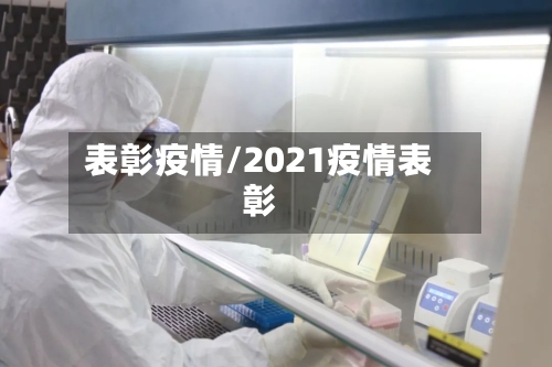 表彰疫情/2021疫情表彰