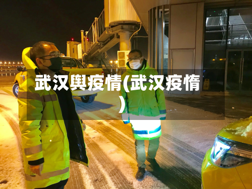 武汉舆疫情(武汉疫惰)
