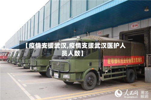 【疫情支援武汉,疫情支援武汉医护人员人数】