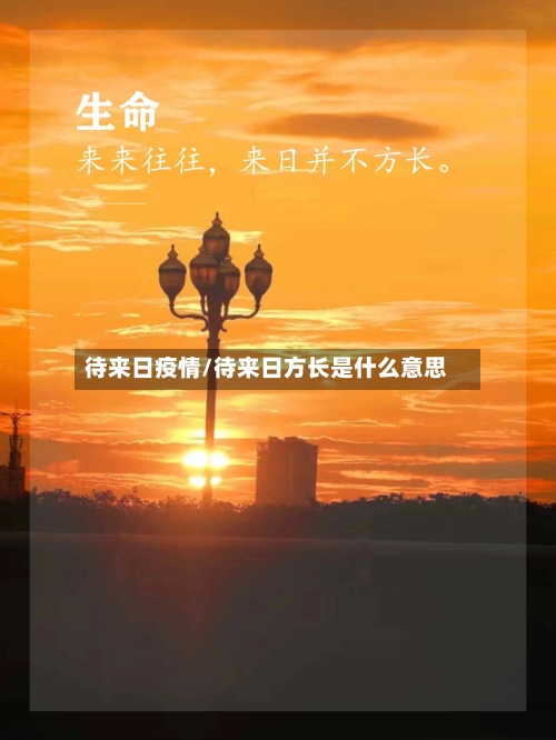 待来日疫情/待来日方长是什么意思
