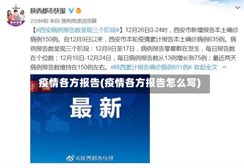 疫情各方报告(疫情各方报告怎么写)