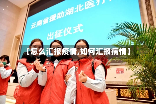 【怎么汇报疫情,如何汇报病情】