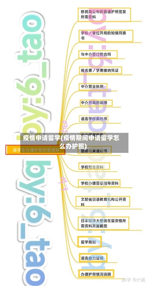 疫情申请留学(疫情期间申请留学怎么办护照)