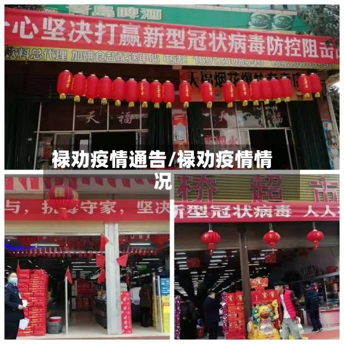 禄劝疫情通告/禄劝疫情情况