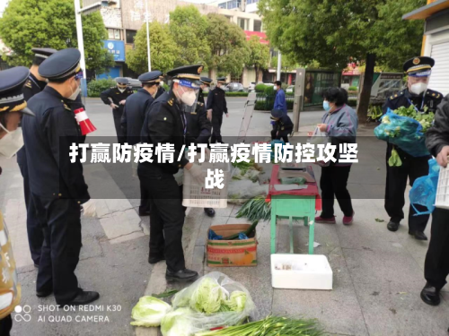 打赢防疫情/打赢疫情防控攻坚战
