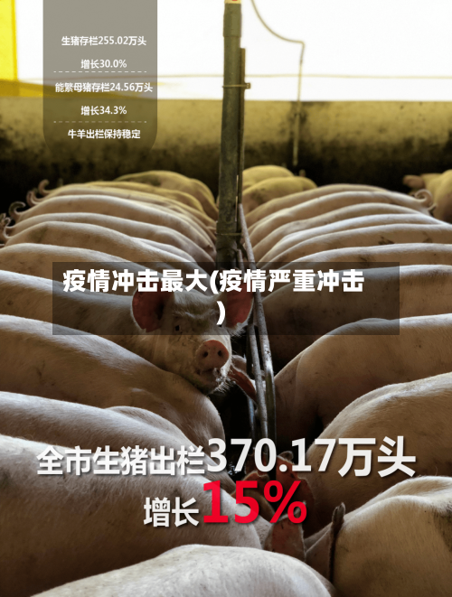 疫情冲击最大(疫情严重冲击)
