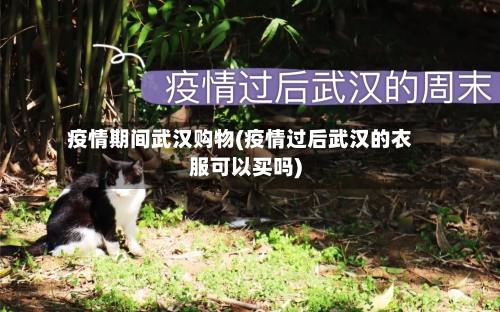 疫情期间武汉购物(疫情过后武汉的衣服可以买吗)