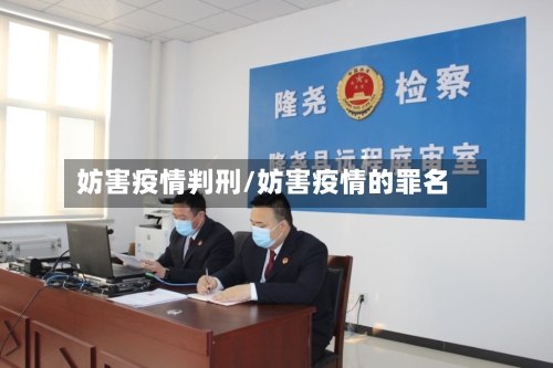 妨害疫情判刑/妨害疫情的罪名