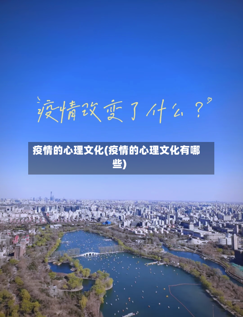 疫情的心理文化(疫情的心理文化有哪些)