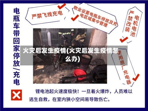 火灾后发生疫情(火灾后发生疫情怎么办)