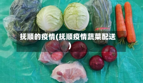 抚顺的疫情(抚顺疫情蔬菜配送)