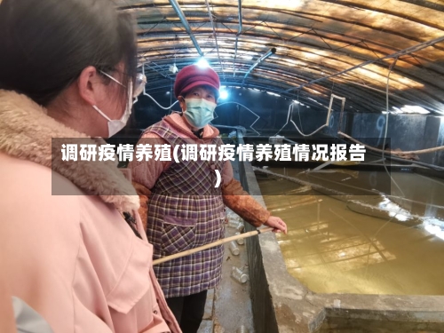 调研疫情养殖(调研疫情养殖情况报告)
