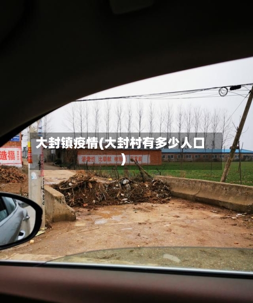 大封镇疫情(大封村有多少人口)