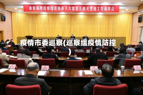 疫情市委巡察(巡察组疫情防控)