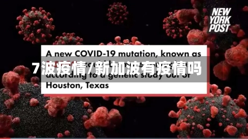 7波疫情/新加波有疫情吗