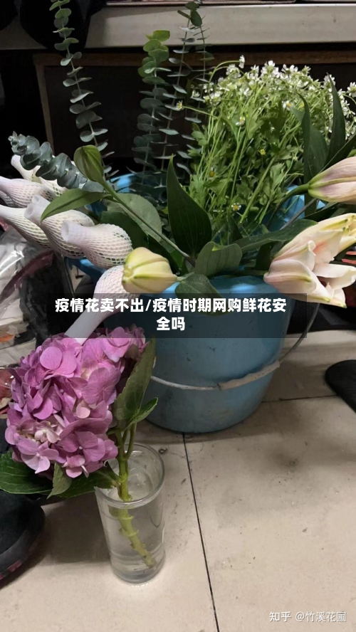 疫情花卖不出/疫情时期网购鲜花安全吗