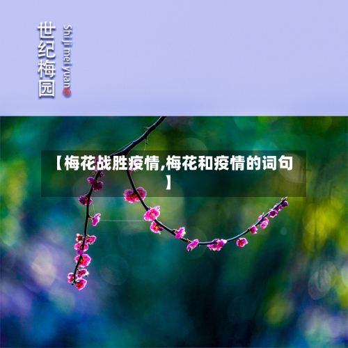 【梅花战胜疫情,梅花和疫情的词句】