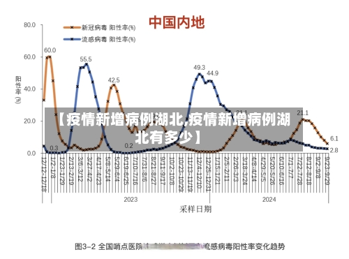 【疫情新增病例湖北,疫情新增病例湖北有多少】