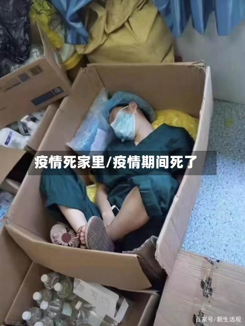 疫情死家里/疫情期间死了