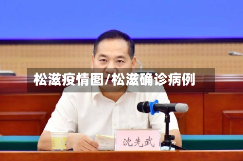 松滋疫情图/松滋确诊病例