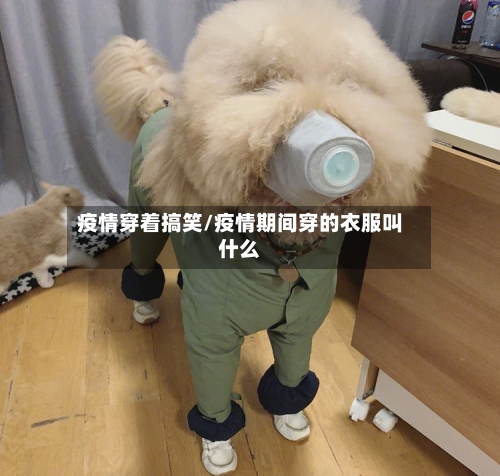 疫情穿着搞笑/疫情期间穿的衣服叫什么