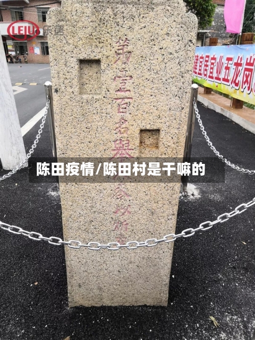 陈田疫情/陈田村是干嘛的