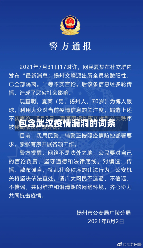 包含武汉疫情漏洞的词条