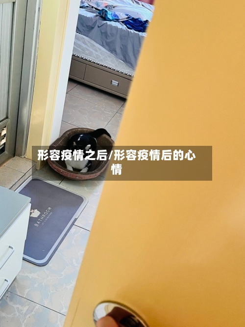 形容疫情之后/形容疫情后的心情