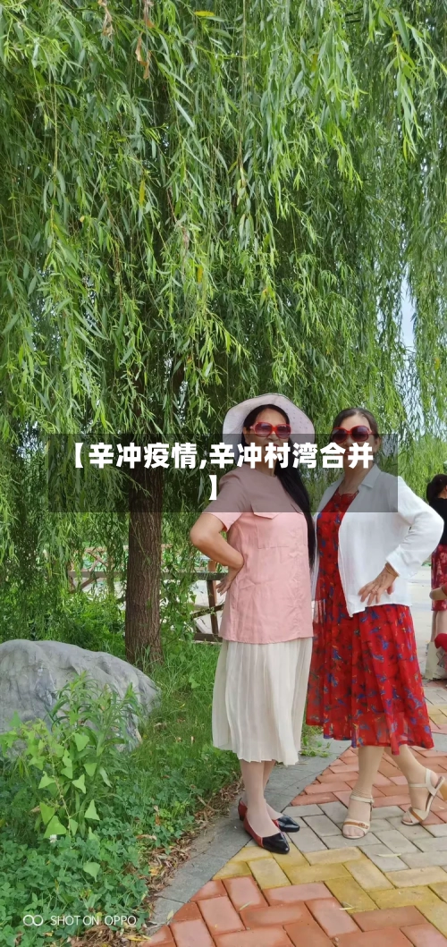 【辛冲疫情,辛冲村湾合并】