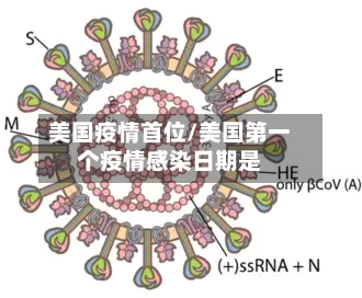 美国疫情首位/美国第一个疫情感染日期是
